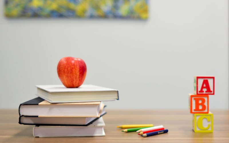 Como Escolher a Melhor Escola para Seu Filho Autista